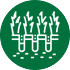 Core Aeration Icon