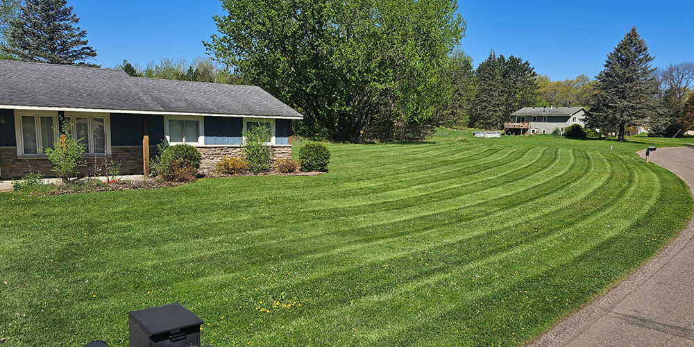 Person Mowing Lawn